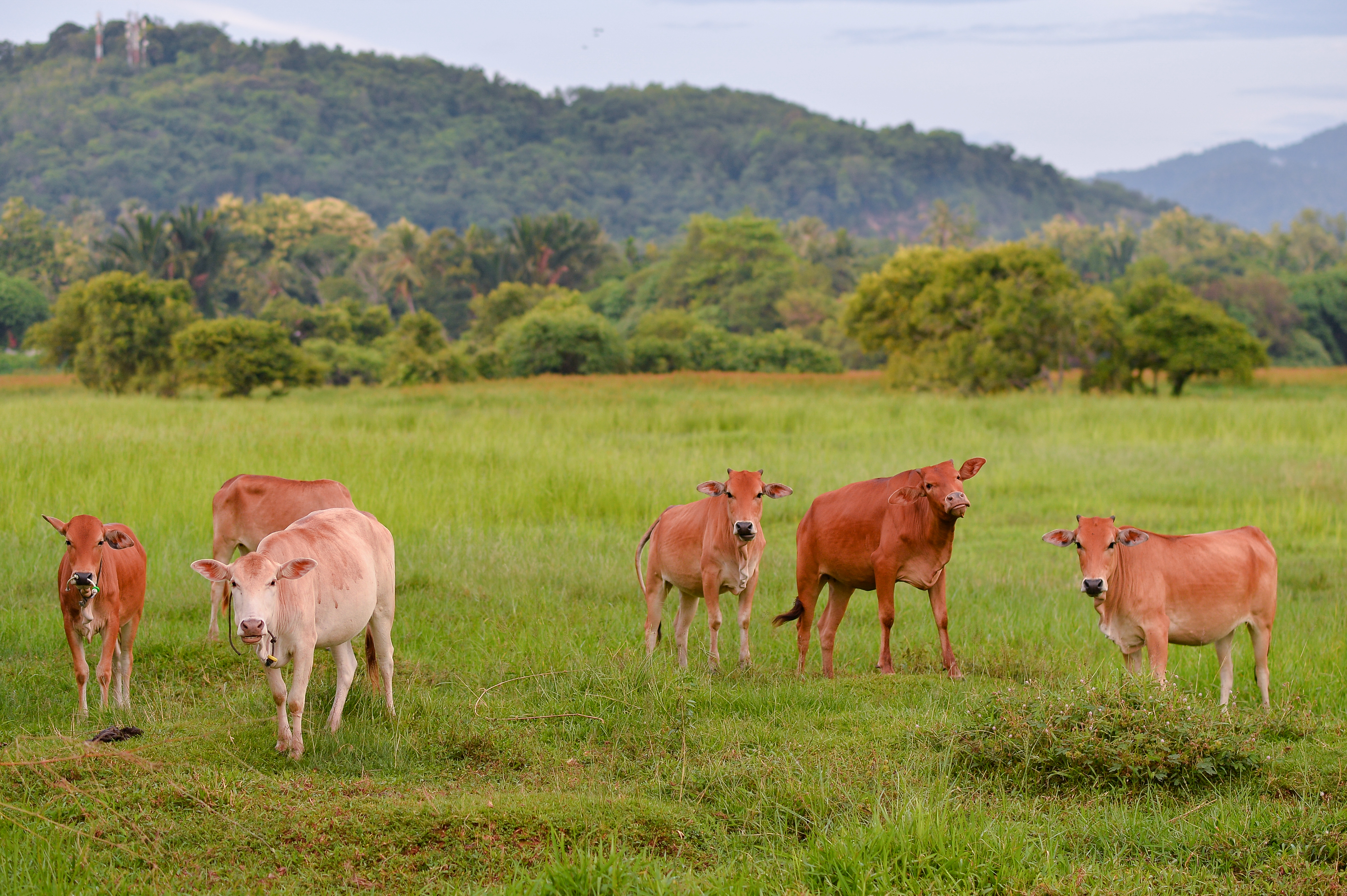 Skateboarding in the city